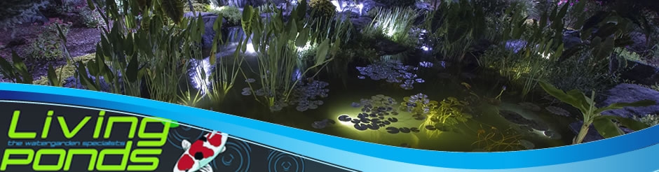 Pond Lighting