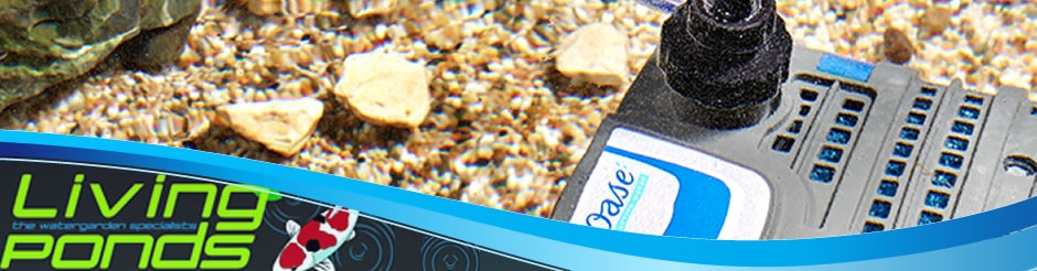 Box filters