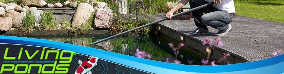 Pond Cleaning & Maintenance