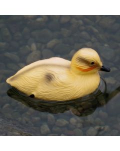 BERMUDA - FLOATING DUCKLING